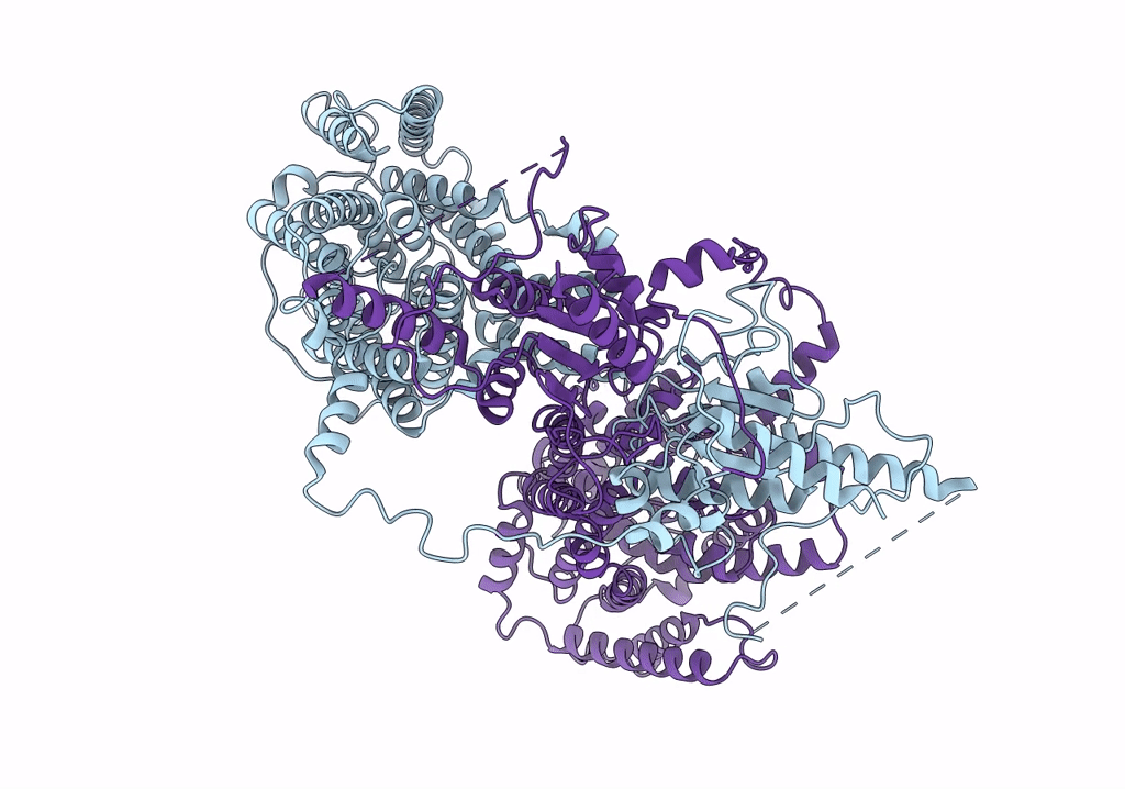7S9D image