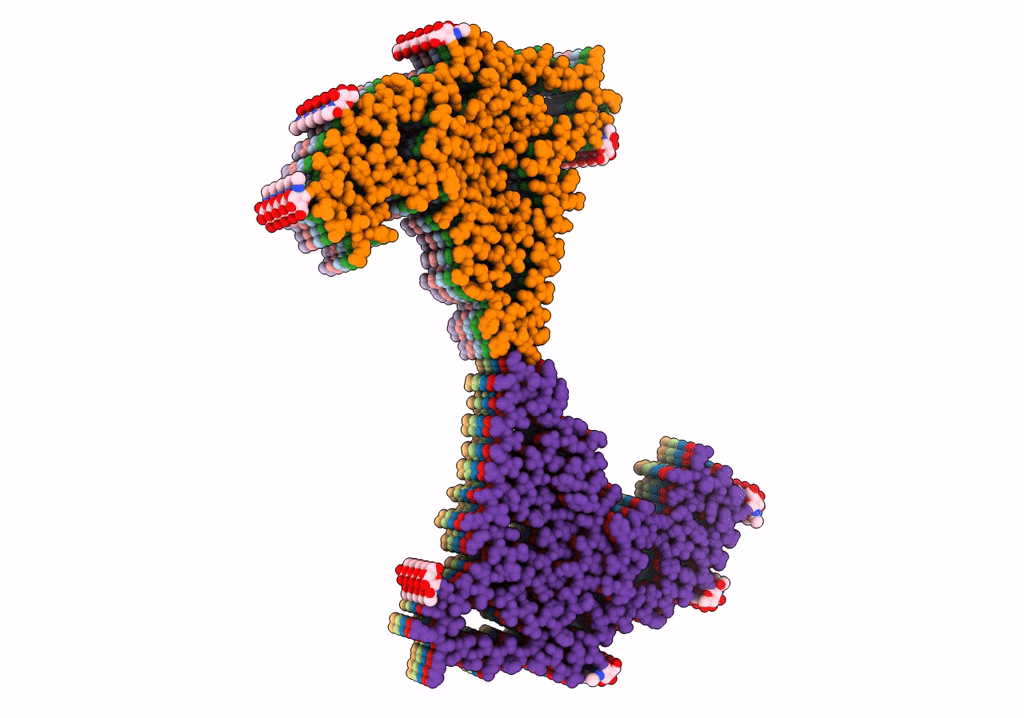 7SAS image