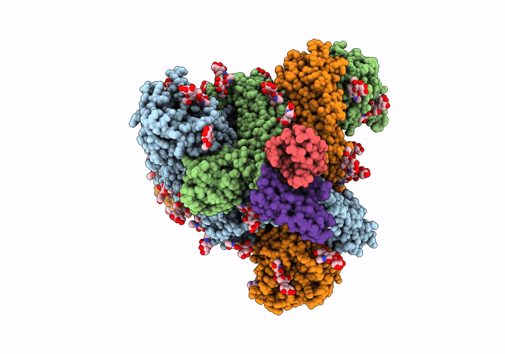 7SBW image