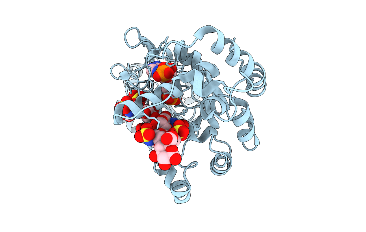 7SCD image