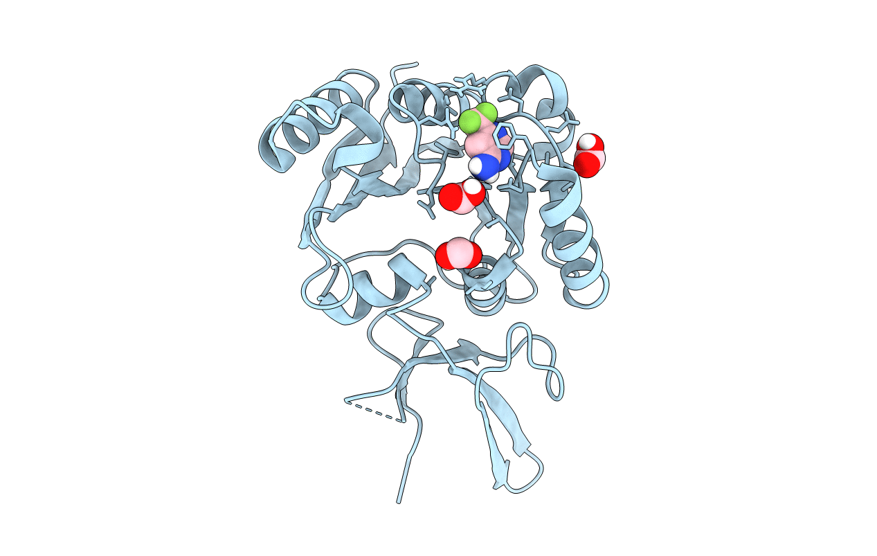 7SEB image