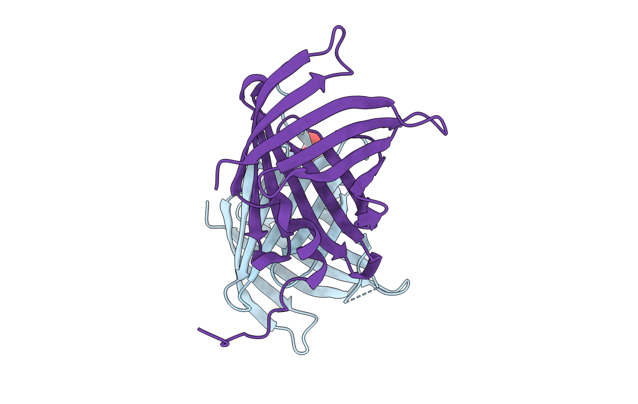 7SFN image