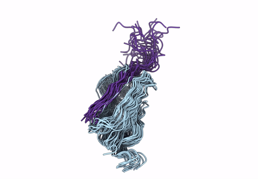 7SFT image