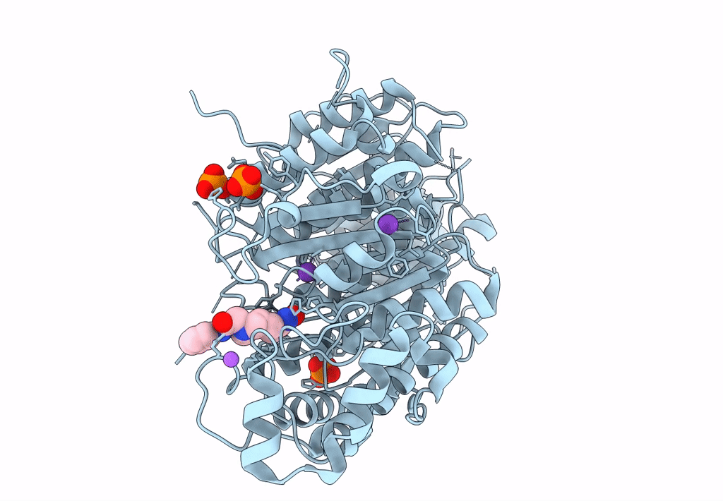 7SGI image