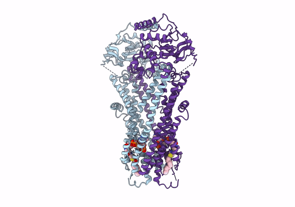 7SHN image