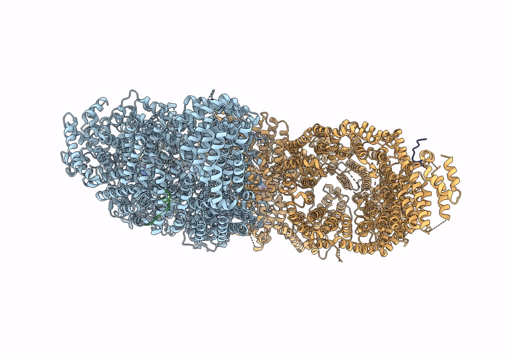 7SID image