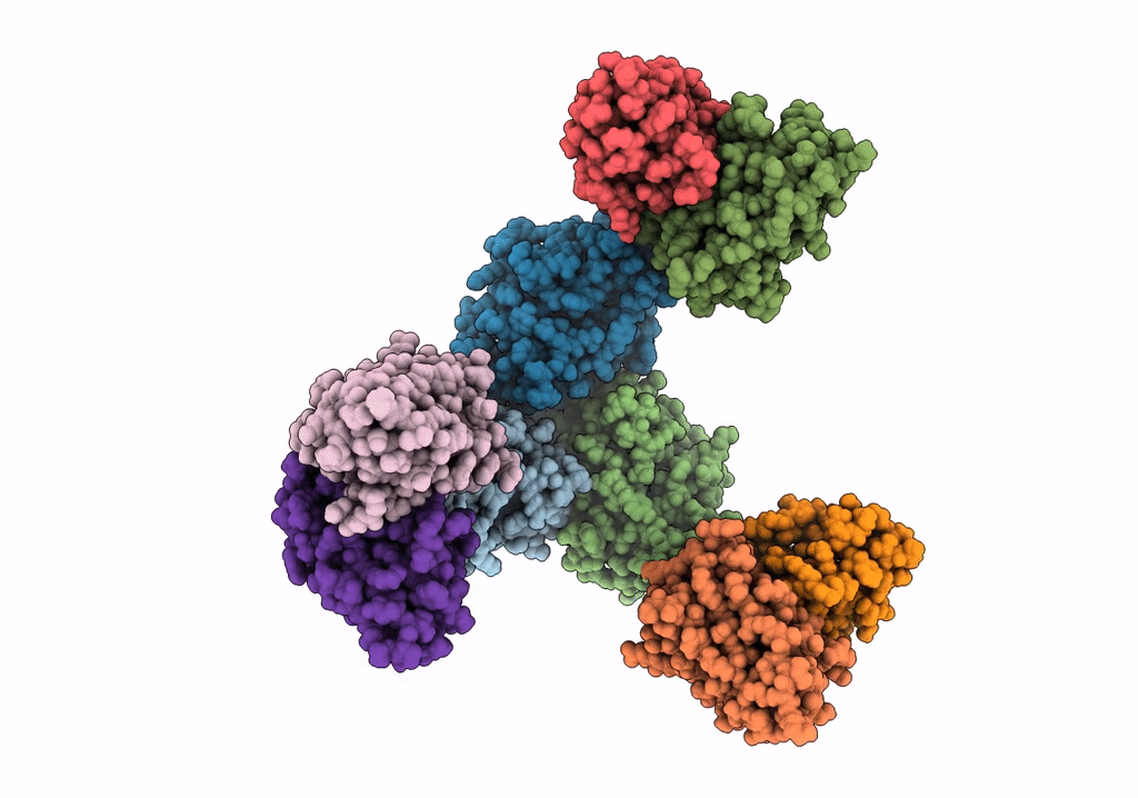 7SJN image
