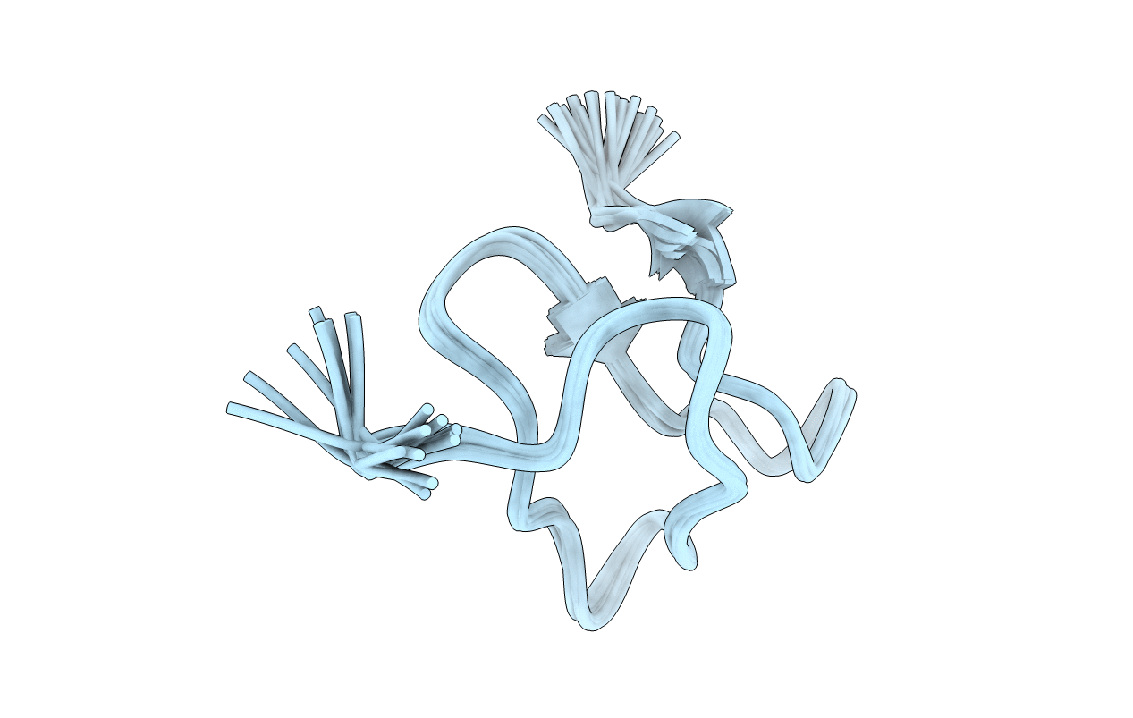 7SKC image