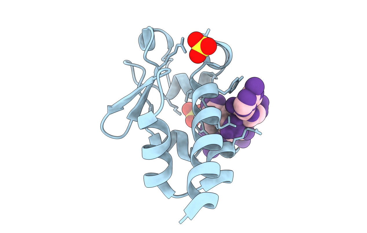 7SOT image
