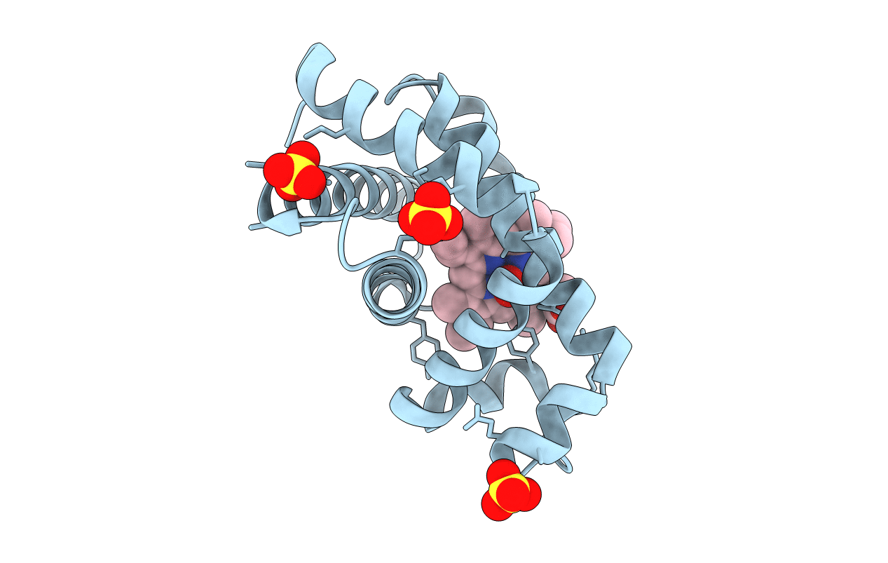 7SPH image