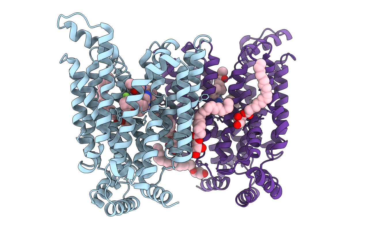7SPS image