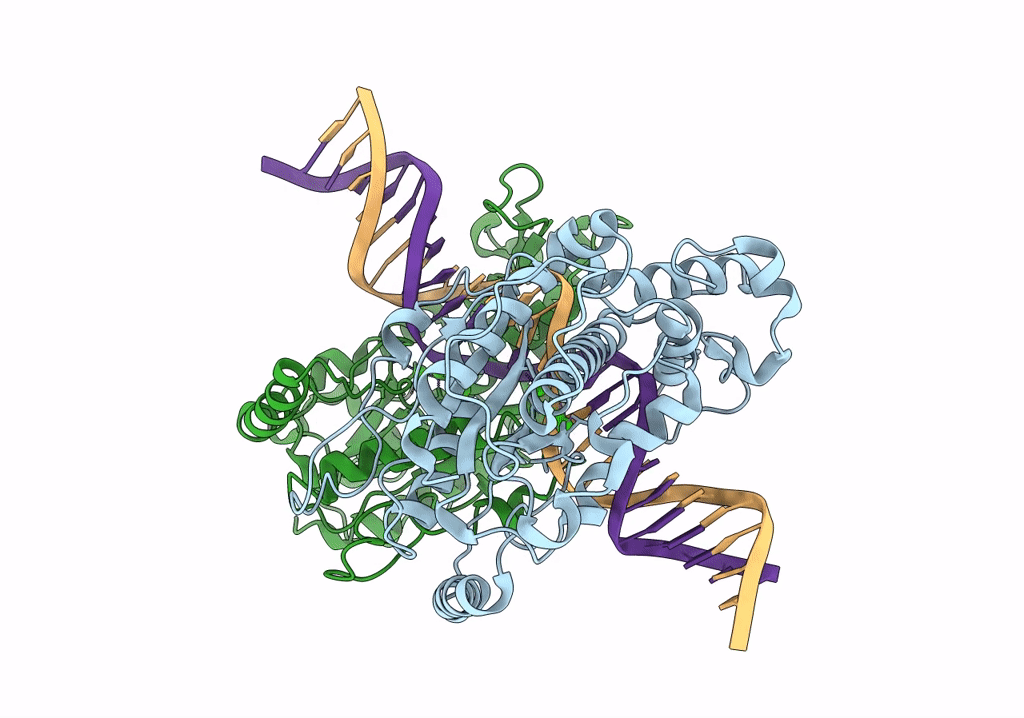 7SS5 image