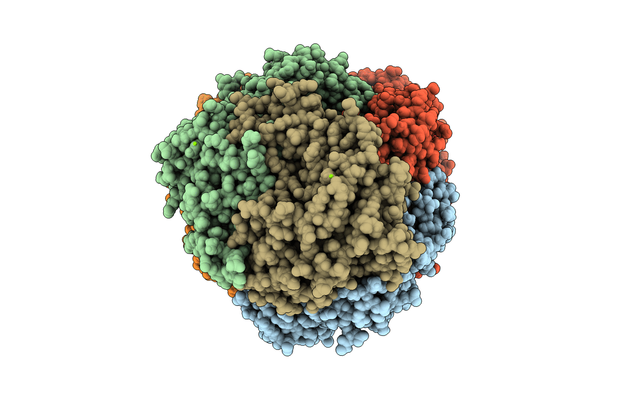 7SUC image