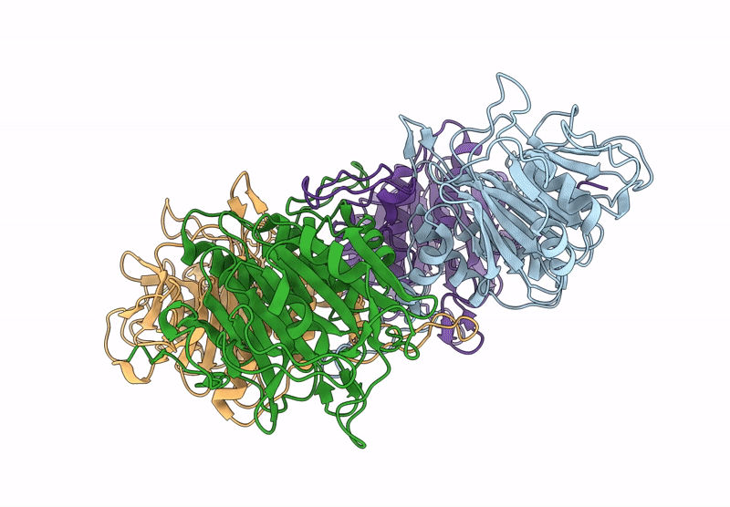 7SVE image
