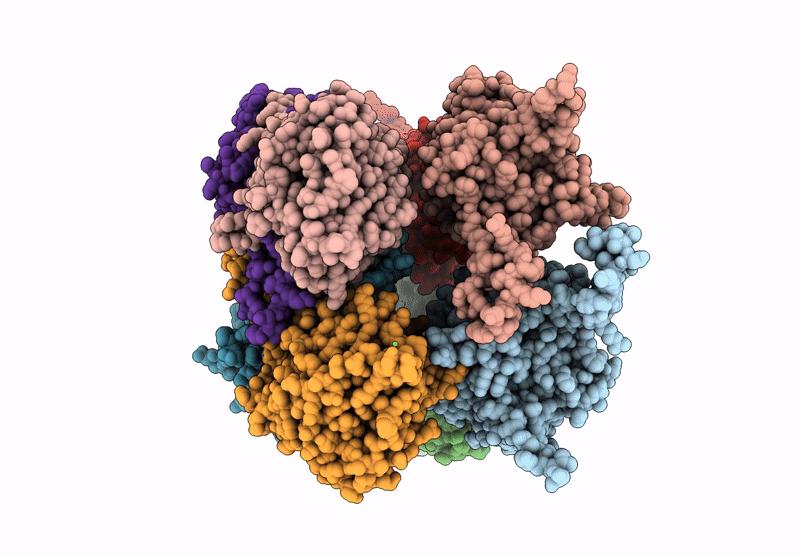 7SVH image