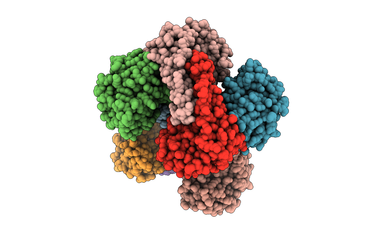 7SVS image