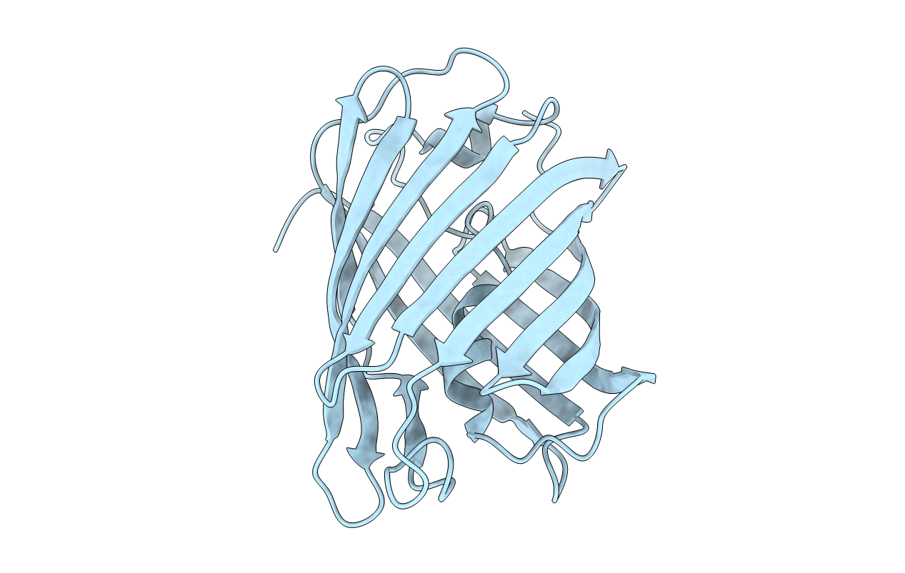 7SWR image