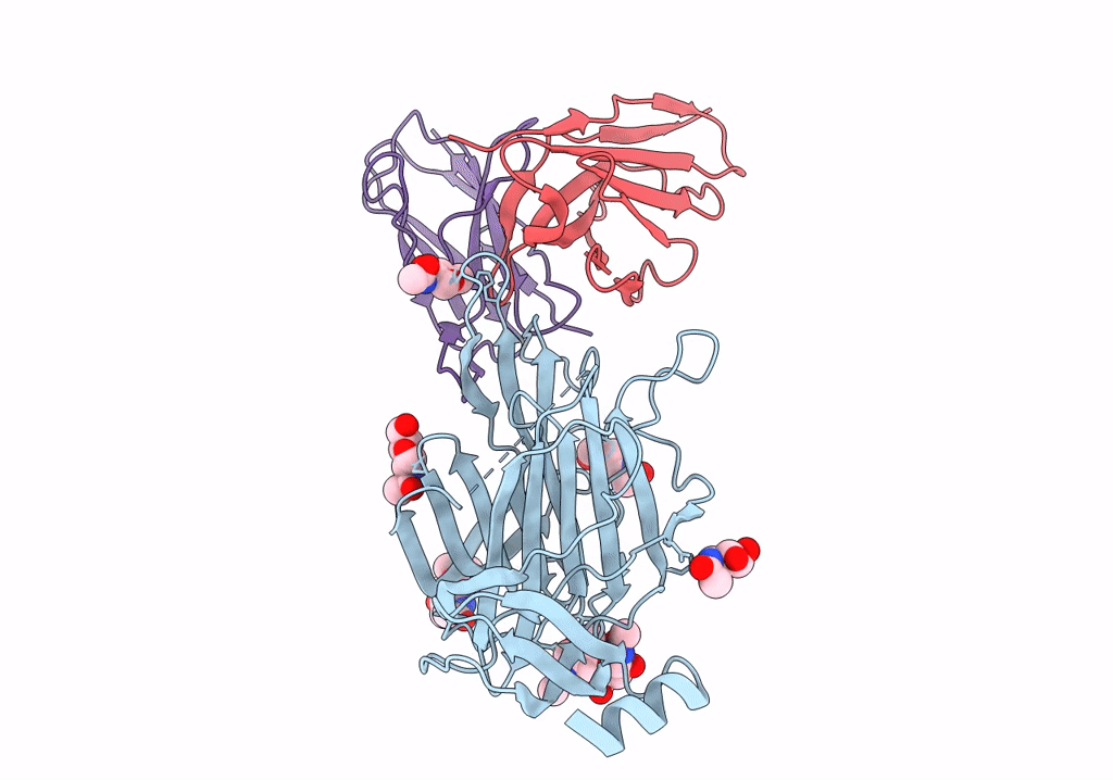 7SWW image