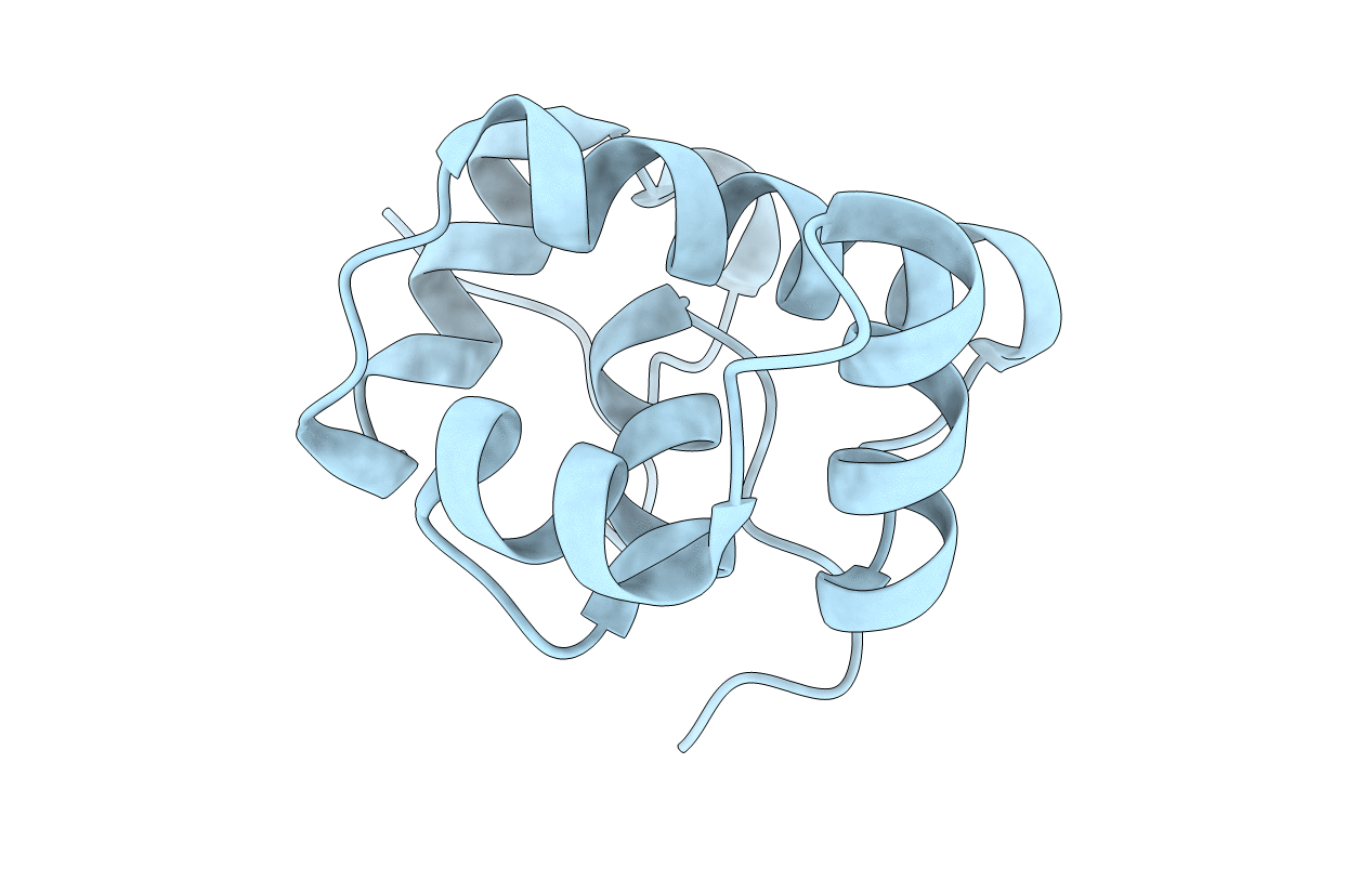 7SYB image