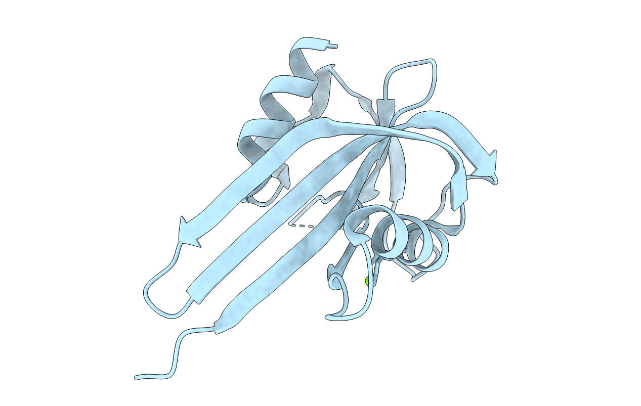 7SYC image
