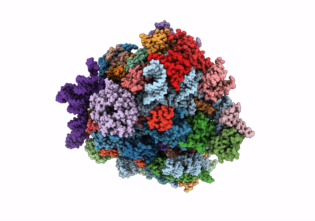 7SYS image
