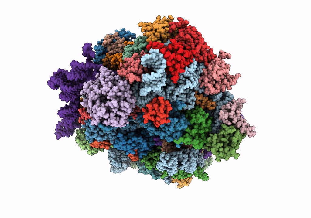 7SYX image