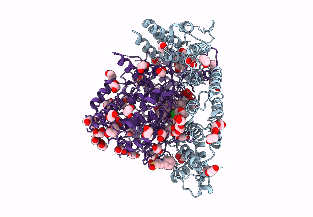 7T0C image
