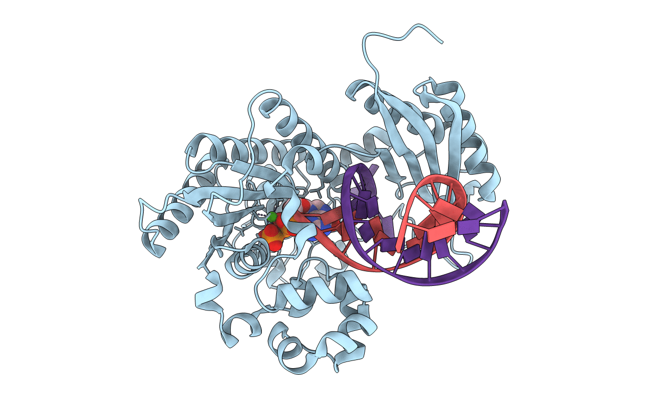 7T19 image
