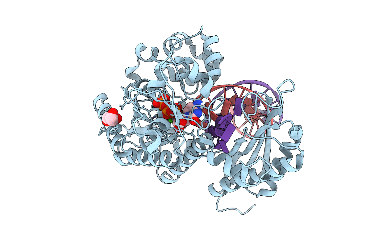 7T1B image