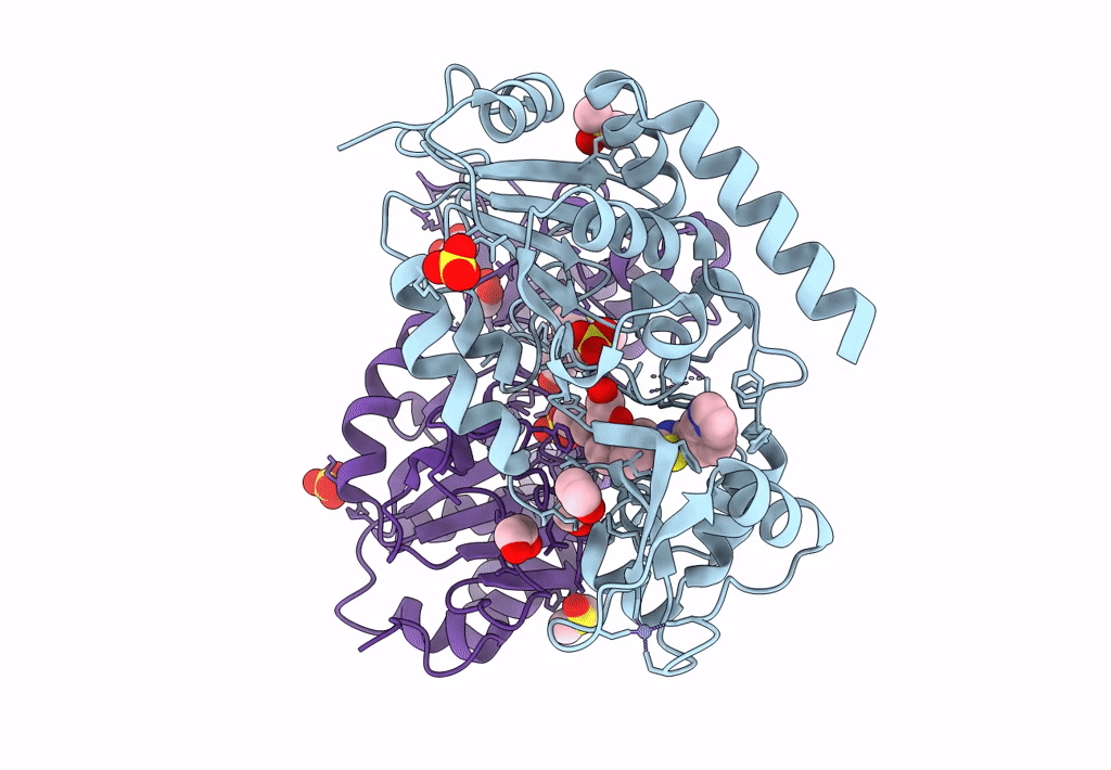 7T1D image