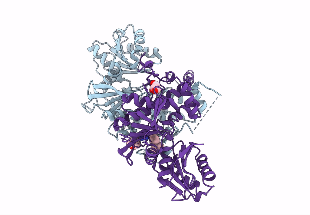 7T1H image