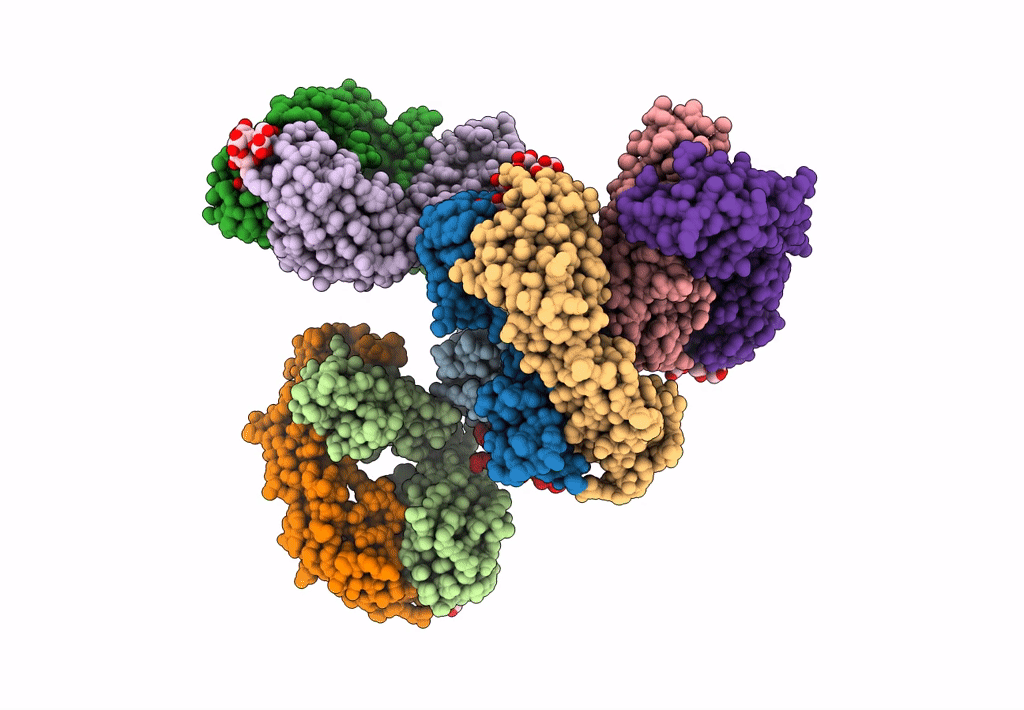 7T1X image