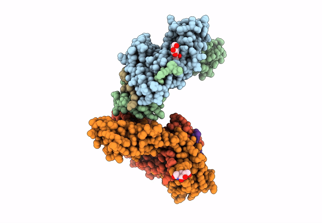 7T2A image