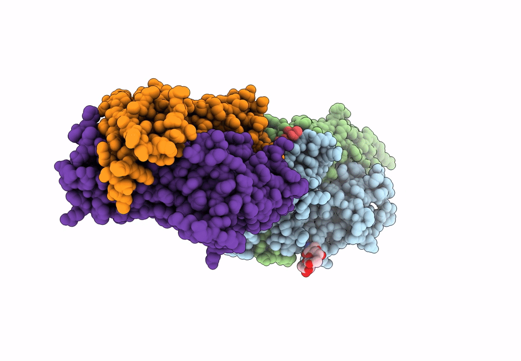 7T2C image