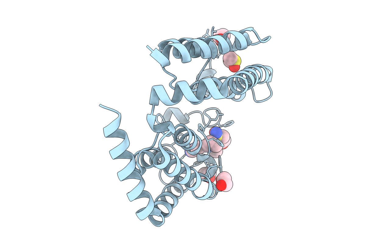 7T2I image
