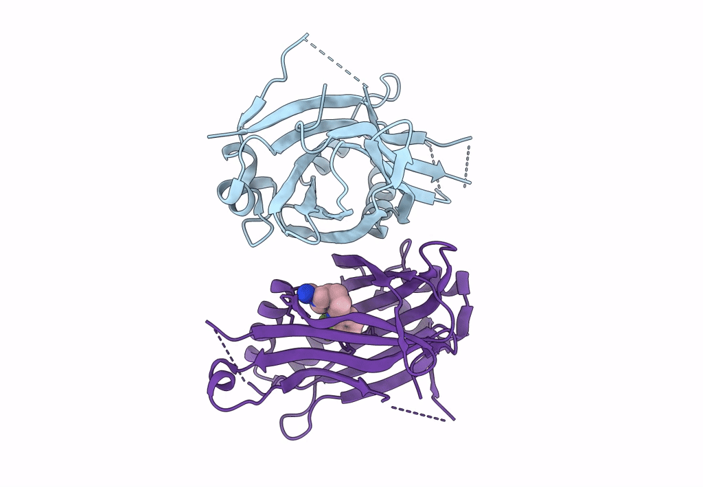 7T2M image