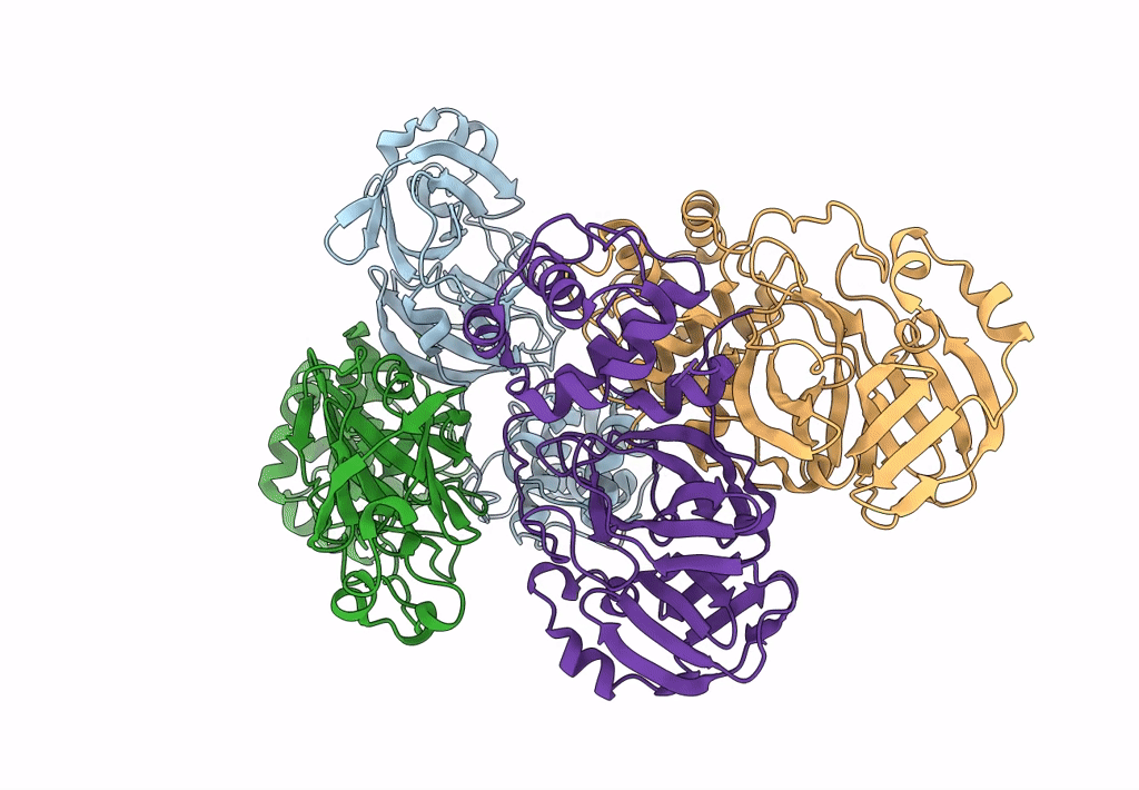 7T2V image