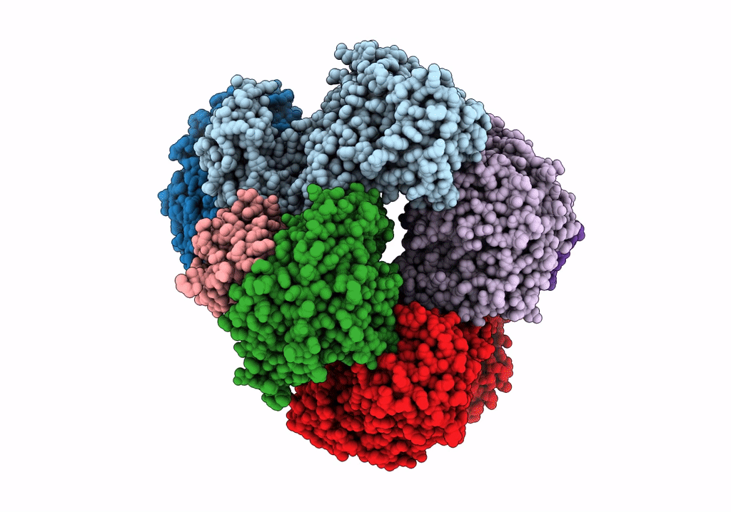 7T30 image
