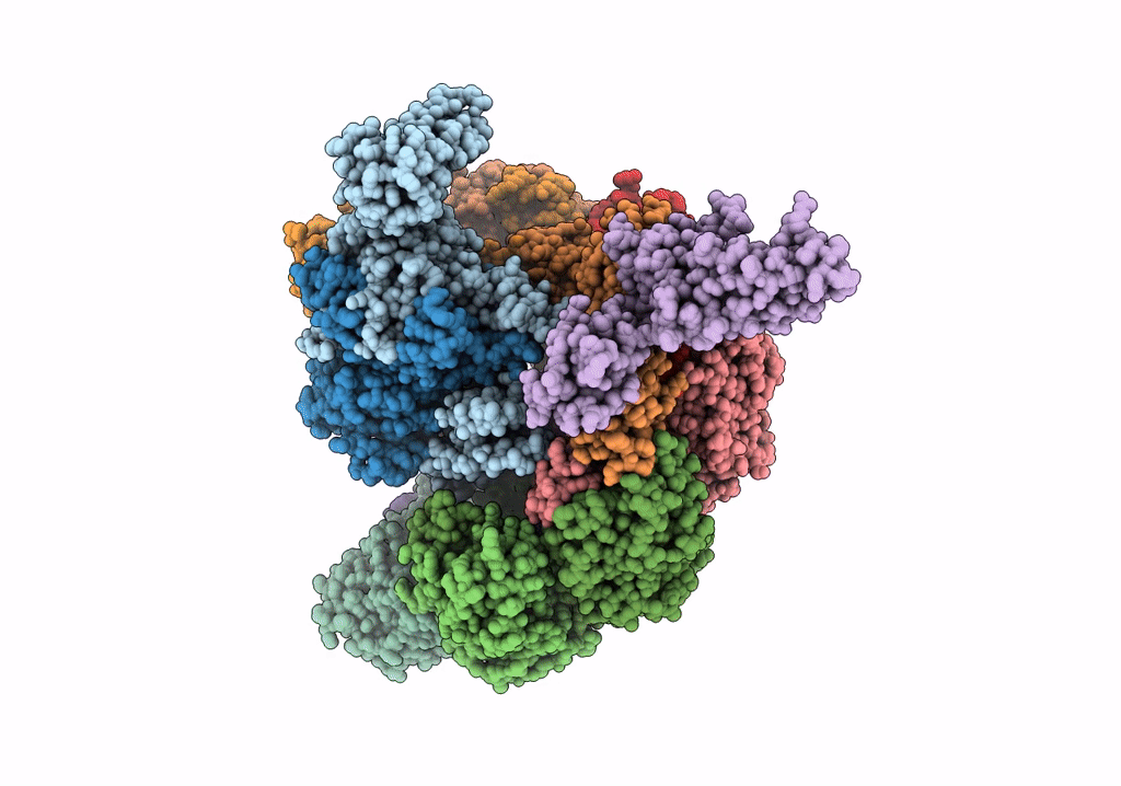 7T3J image