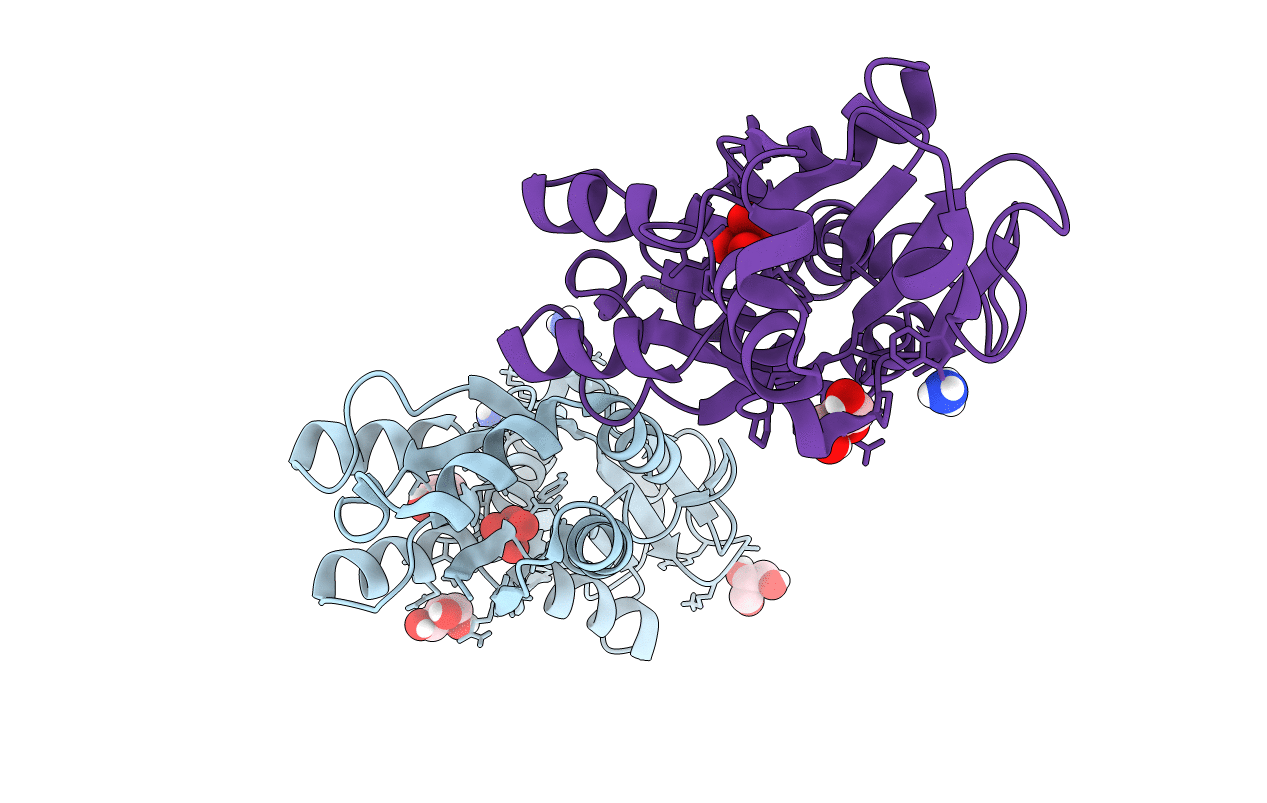 7T50 image