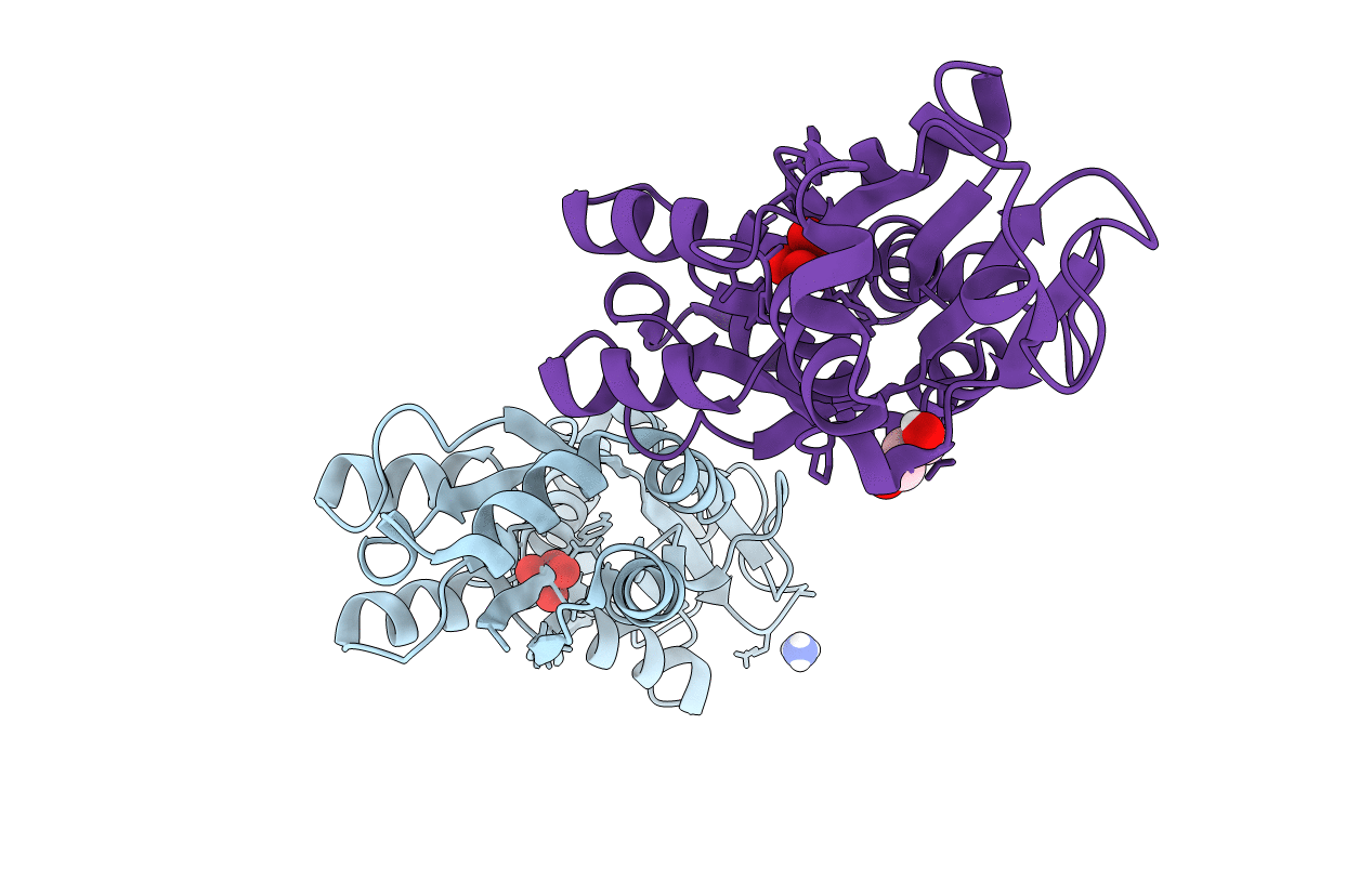 7T51 image