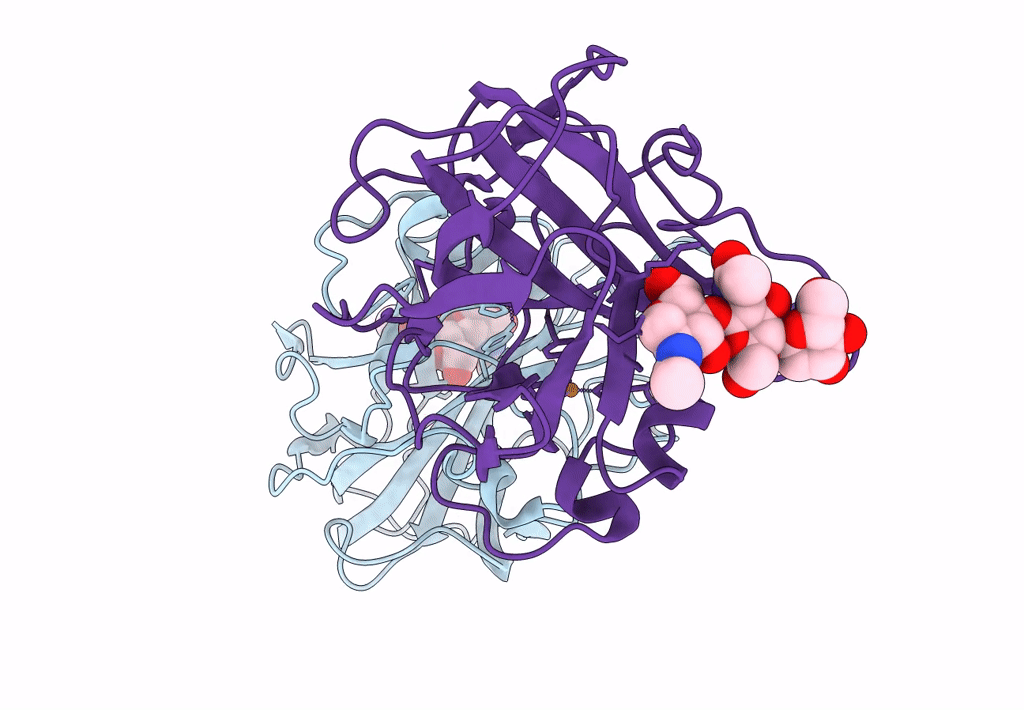 7T5C image