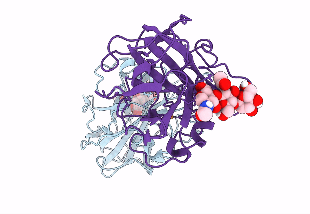 7T5E image