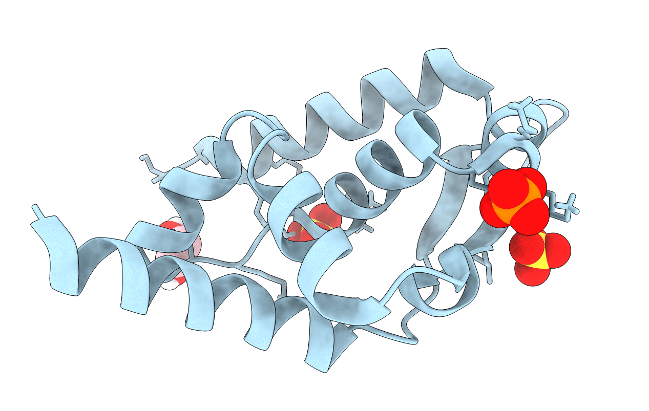 7T5H image