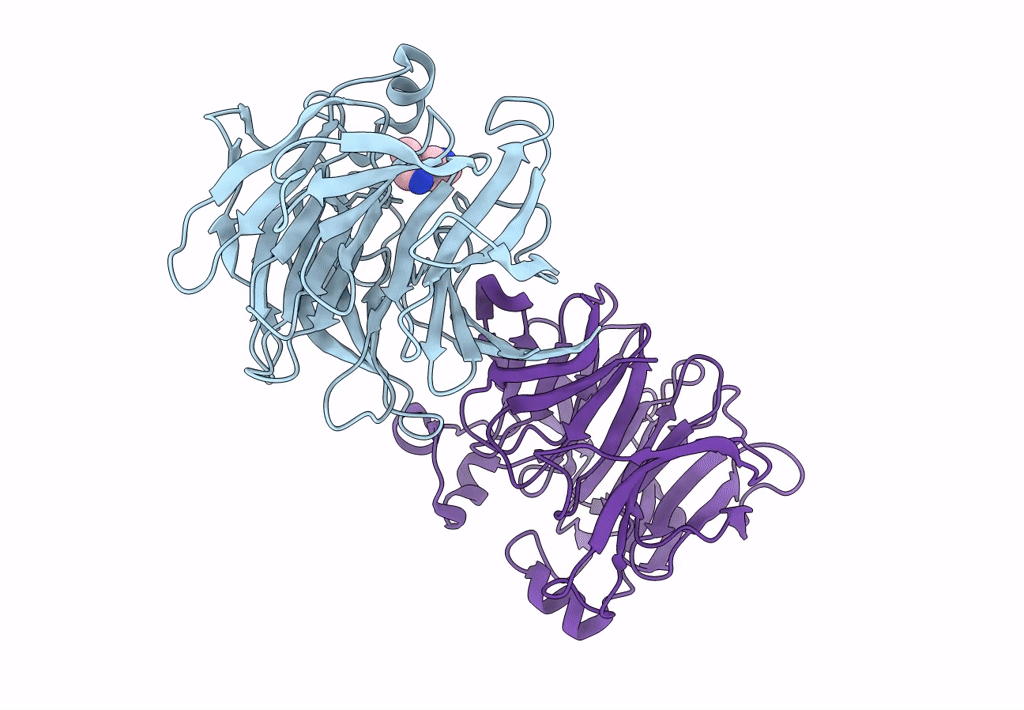 7T5J image