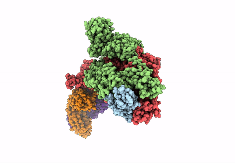 7T5O image
