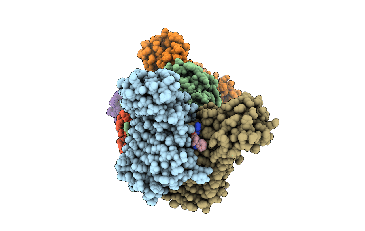 7T5X image
