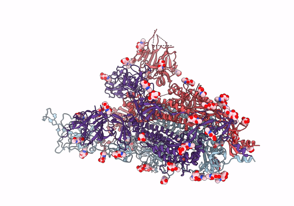 7T67 image