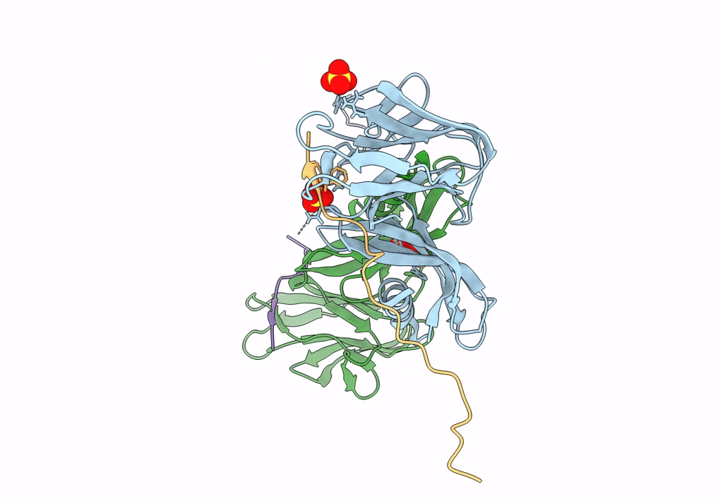 7T6A image