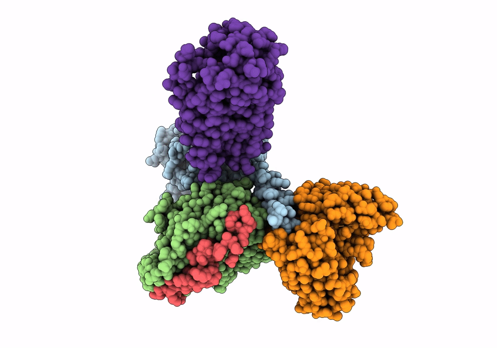 7T6B image
